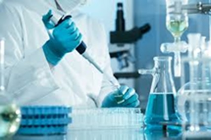 Investigación y Desarrollo